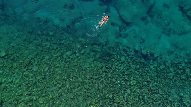 浮潜在清澈的绿松石海视频素材