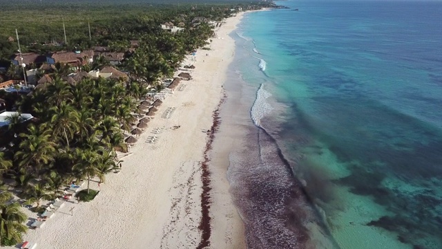 美丽的热带加勒比海滩。绿松石般的水，白色的沙子和棕榈树视频素材