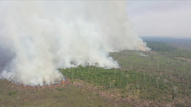 亚马逊雨林火灾的鸟瞰图视频下载
