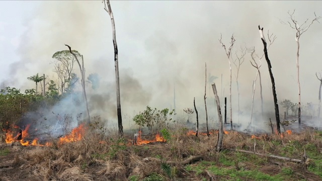 亚马逊雨林火灾的鸟瞰图视频素材