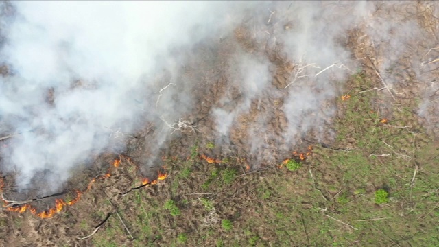 亚马逊雨林火灾的鸟瞰图视频素材