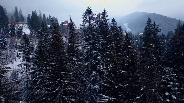 揭示冬季山里有人居住的地方的空气。山村的建筑在白雪覆盖的山坡上。乡村，冷杉和松树林。滑雪胜地的小屋视频素材