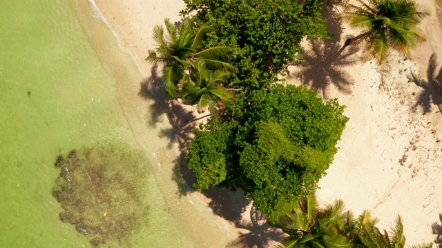 从空中俯瞰法属波利尼西亚和拥有沙滩的瑞瓦威岛视频素材
