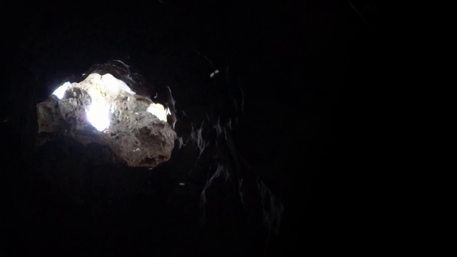 在马来西亚美丽的洞穴里，蝙蝠在阳光下捕猎。视频下载