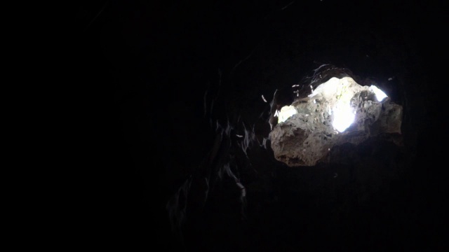 慢镜头飞行蝙蝠狩猎与阳光在黑暗洞穴在马来西亚。视频下载