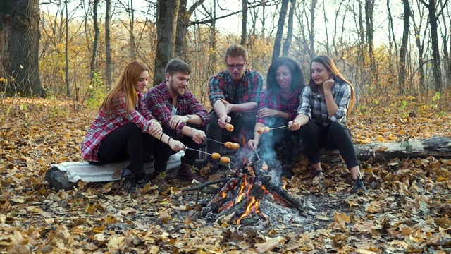 秋天的森林里，露营者在篝火上烤香肠视频素材