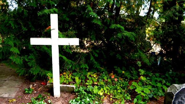墓地地上的白色十字架视频下载