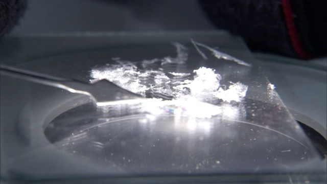 一个探针将一个雪样本放在一个玻璃载玻片上。视频素材