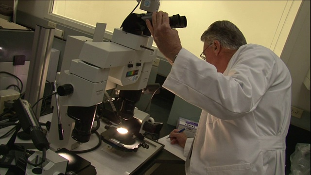 法医学家在通过显微镜观察时做了记录。视频素材