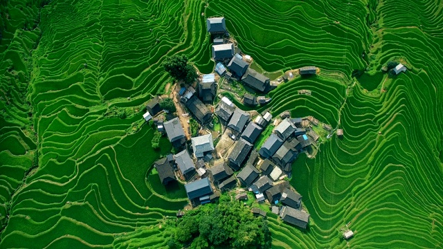 中国贵州家邦，稻梯田间的Aerila村屋。视频素材