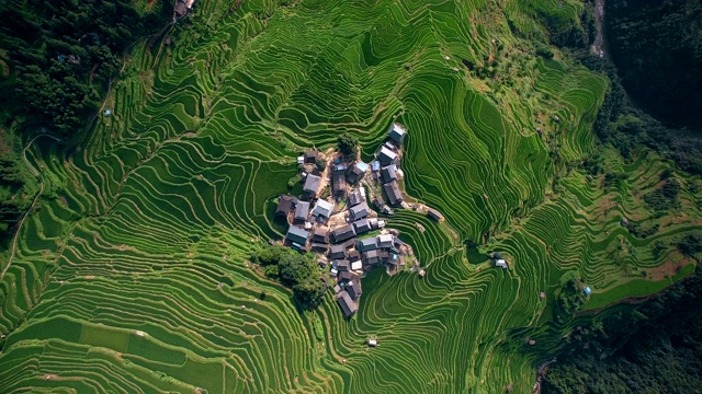 中国贵州加榜，稻梯田间的Aerila村屋。视频素材