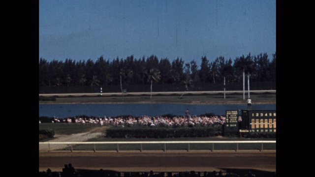 一群火烈鸟在美国佛罗里达的赛马场上奔跑视频下载
