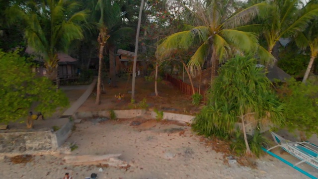 无人机在一个被棕榈树环绕的热带海滩上荡秋千的女孩上空盘旋视频下载