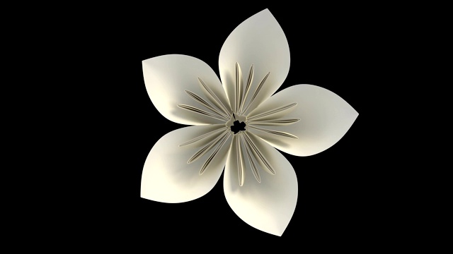 花盛开的3D动画与阿尔法层视频下载