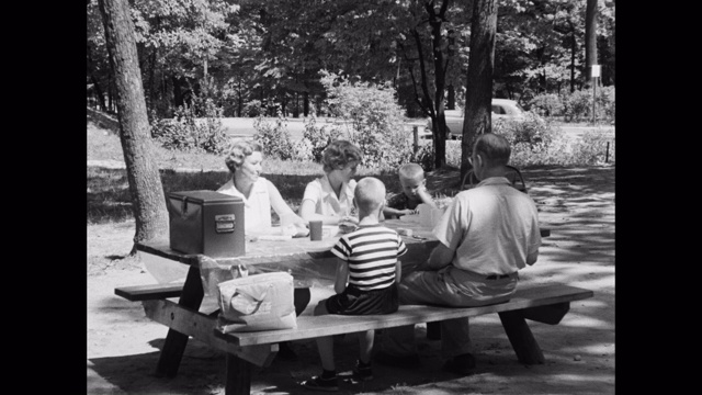 一家人在公园野餐视频下载