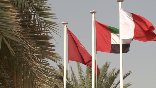 阿联酋旗帜视频下载