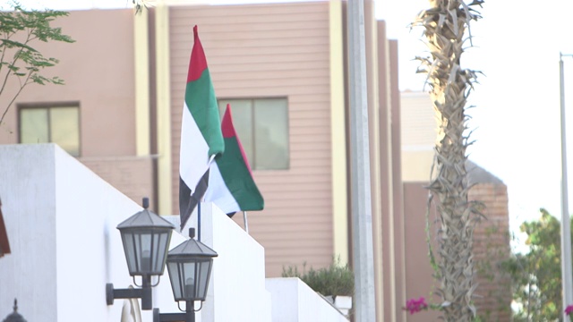 阿联酋旗帜视频下载