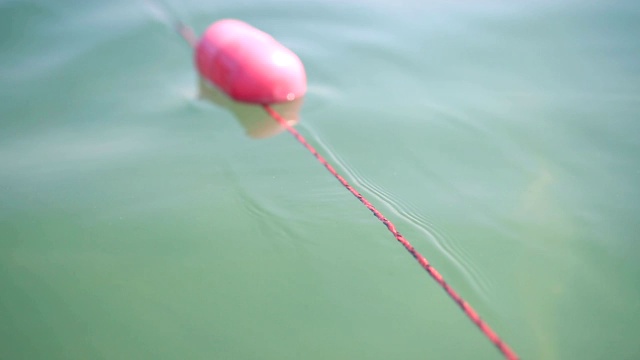 湖上的粉色浮标视频下载