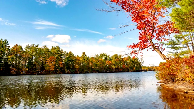 加拿大格雷文赫斯特马斯科卡湖的秋色视频下载