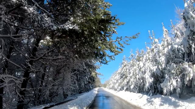 在冬天沿着森林道路行驶的汽车。在下雪的乡村道路上驾驶POV视频素材