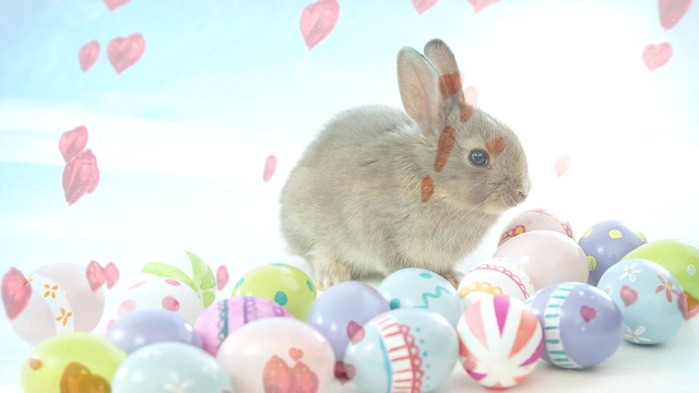 复活节兔子和彩蛋视频下载
