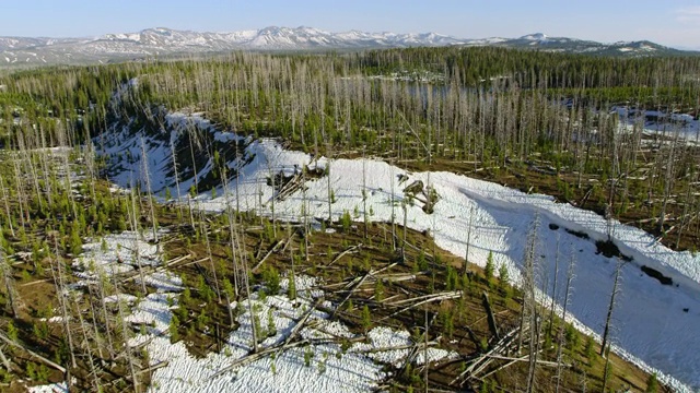 倾斜拍摄的雪山山峰在黄石国家公园视频素材