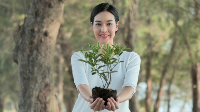 女性手握大植物生长在绿色的森林背景。世界精神卫生日概念。地球日节约环境的概念。育苗造林。志愿、慈善、清洁、人与生态观念植树节视频素材