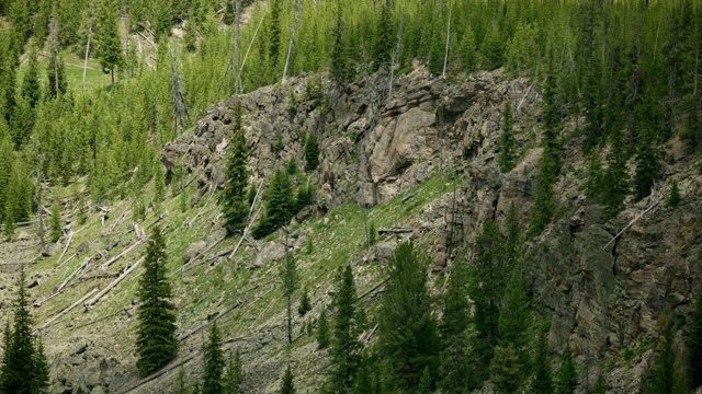 黄石国家公园黑曜石悬崖的中景视频素材