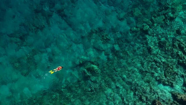 浮潜在清澈的绿松石海视频下载