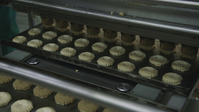 饼干制作加工工业面粉厂输送机视频素材