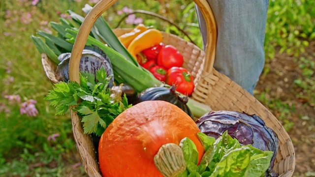 SLO MO篮子里装满了五颜六色的菜园农产品视频素材