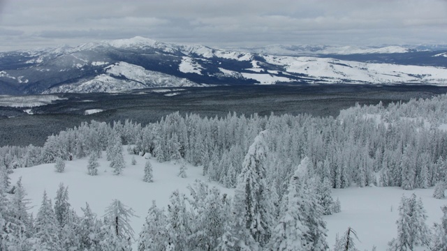 黄石国家公园雪景的广角镜头视频素材
