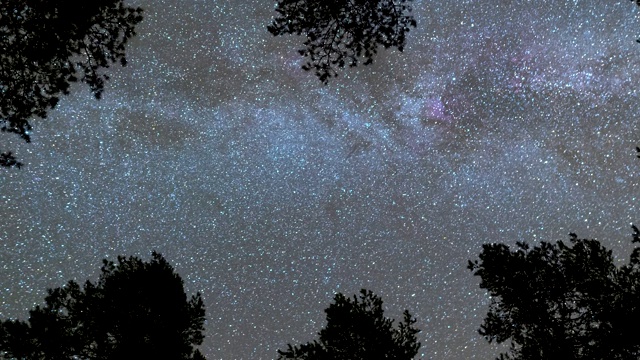 从下向上看，银河和星星穿过树木在夜晚。时间流逝视频素材