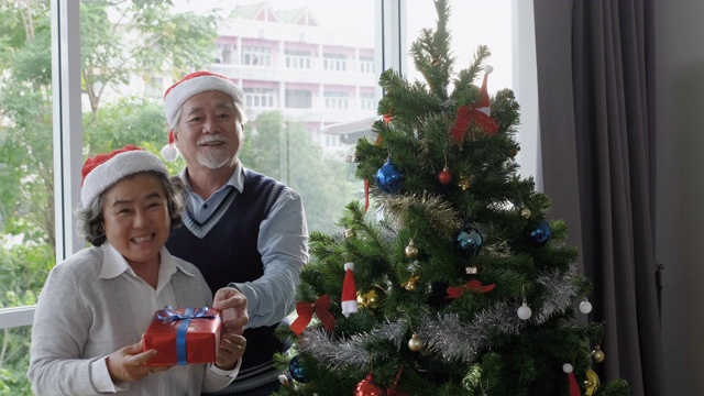 戴着红帽子的老年男女在客厅里赠送礼盒，并说“新年快乐”和“圣诞快乐”视频素材