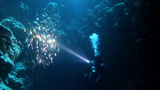 潜水员在洞里游泳视频素材