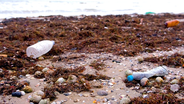 塑料瓶、死螃蟹和其他碎片散落在沙滩上的海藻中。视频素材