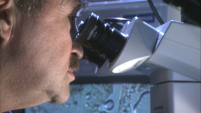 一位科学家在显微镜下观察小行星的载玻片，其图像出现在大屏幕上。视频下载