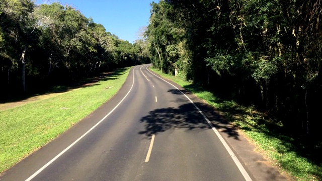 驾驶汽车在一个国家/丛林道路- POV -观点前-挡风玻璃。的一天。树。视频素材