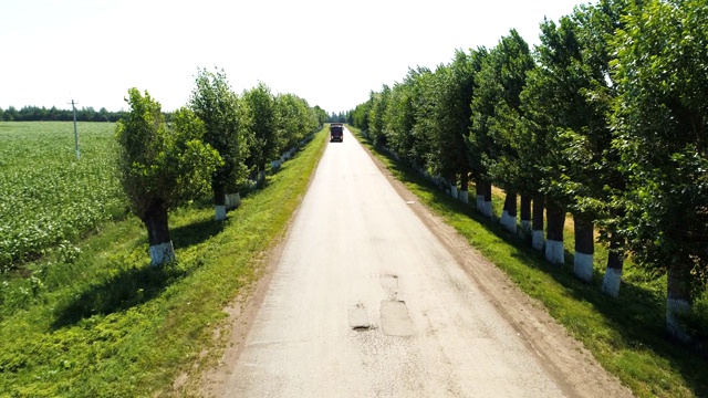 乡间小路两旁都是树，汽车对着天空行驶视频素材
