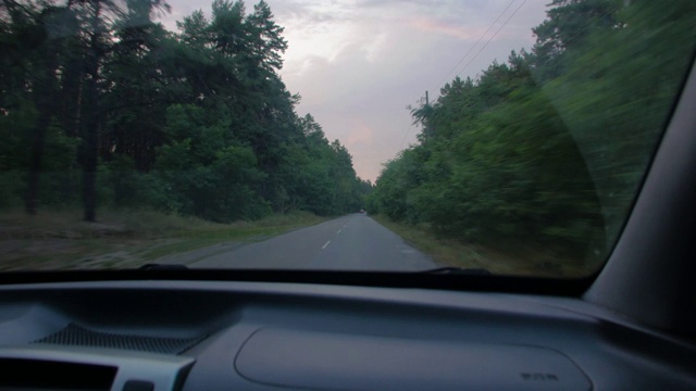从汽车上看森林道路视频素材