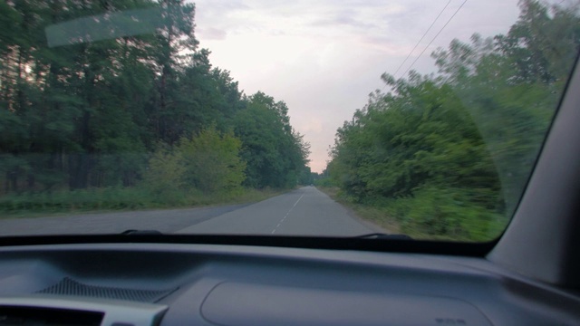 从汽车森林路观看视频素材