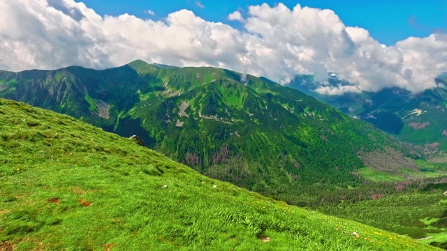 从kasproy wierch顶部观看绿色山谷在夏天，波兰视频素材