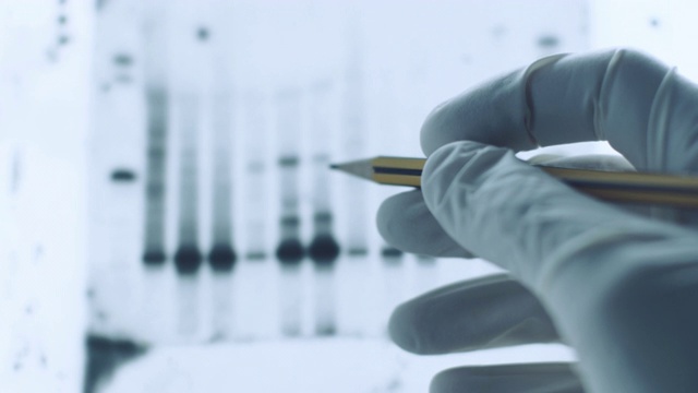 实验室DNA分析:基因研究视频素材