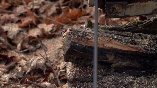 近距离拍摄链锯片切割木材树干的宏观细节镜头视频素材