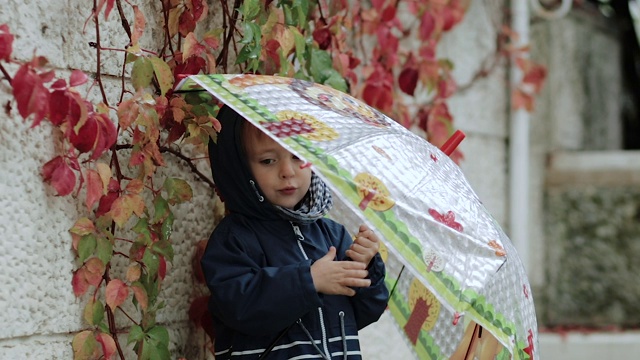 悲伤的小男孩站在雨中的雨伞下，背景是秋天的黄叶视频素材