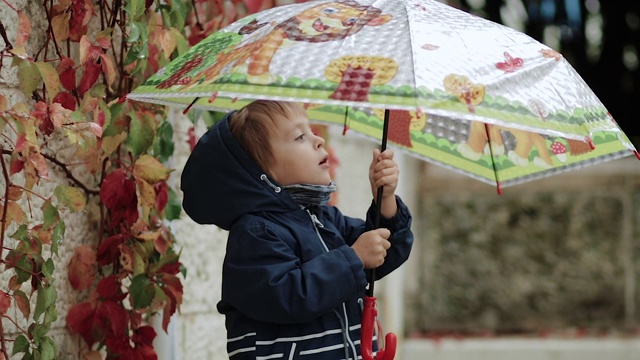 悲伤的小男孩站在雨中的雨伞下，背景是秋天的黄叶视频素材