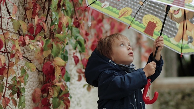 雨中，一个小男孩站在雨伞下，背景是秋天的黄叶视频素材