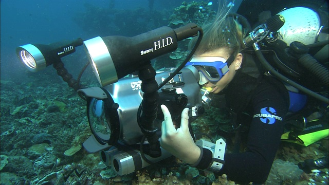 潜水员拍摄帕劳暗礁海底的珊瑚。视频下载