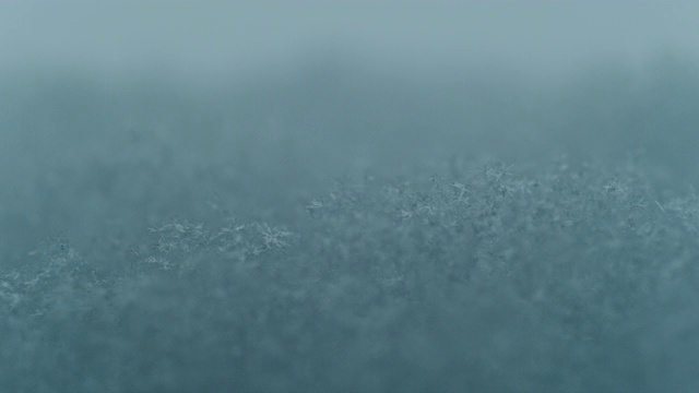 慢镜头宏雪吹冬冷视频素材