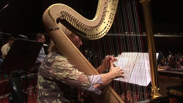 竖琴演奏者用手指拨动竖琴的琴弦。视频素材